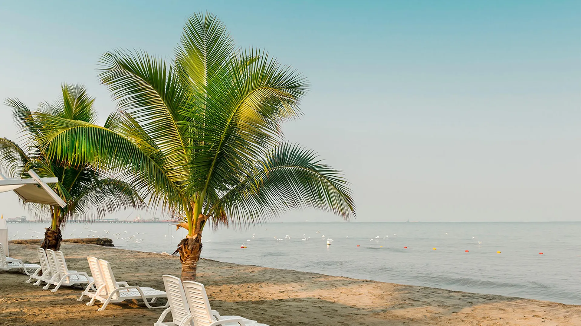 Decameron Galeon Santa Marta  Resort
